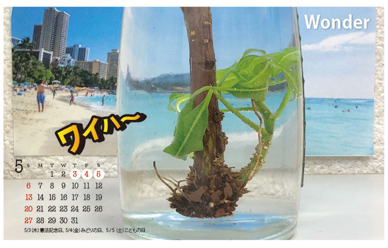 2018年5月のカレンダー